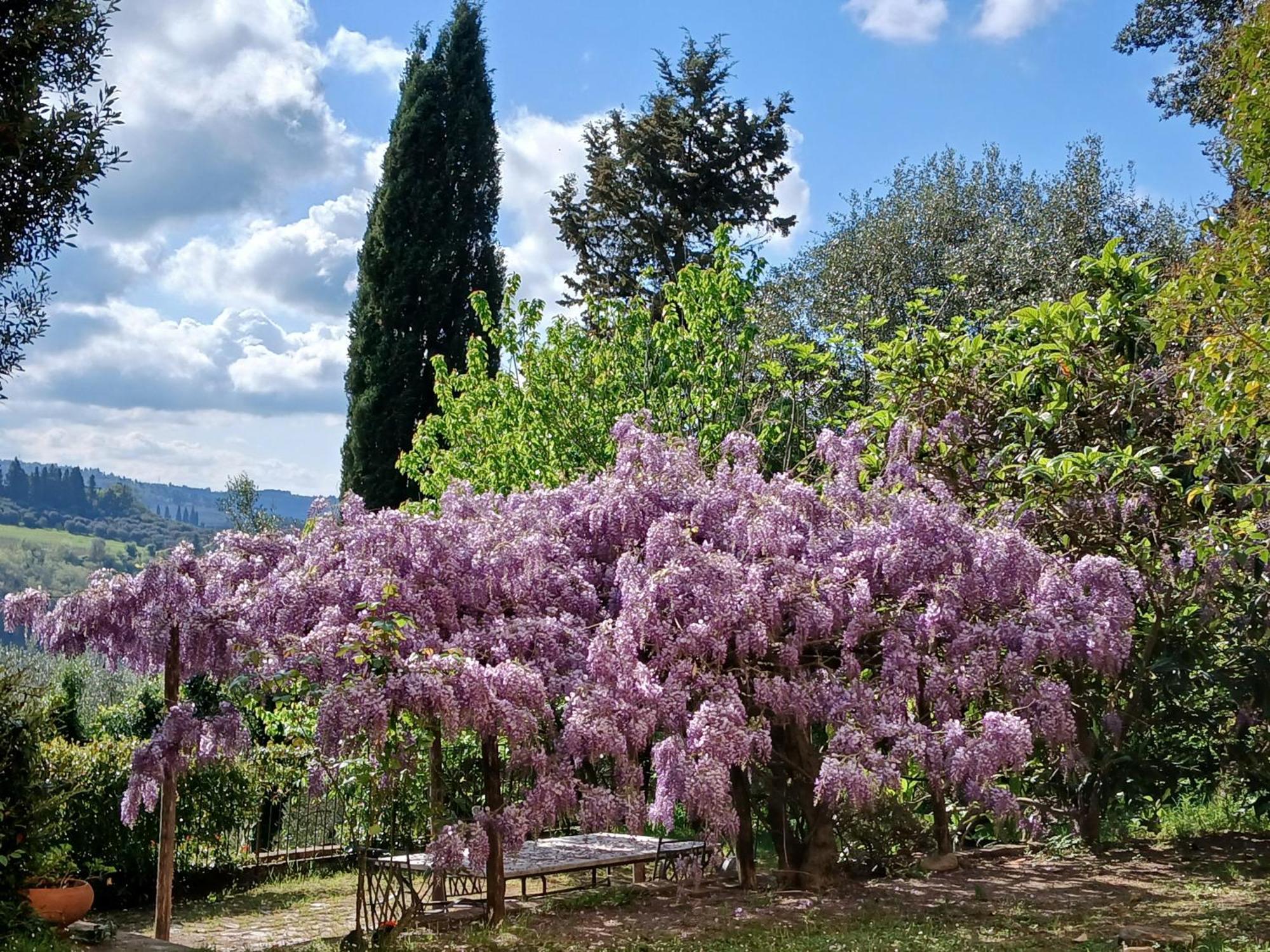 Agriturismo Villa Gorgognano Certaldo Buitenkant foto