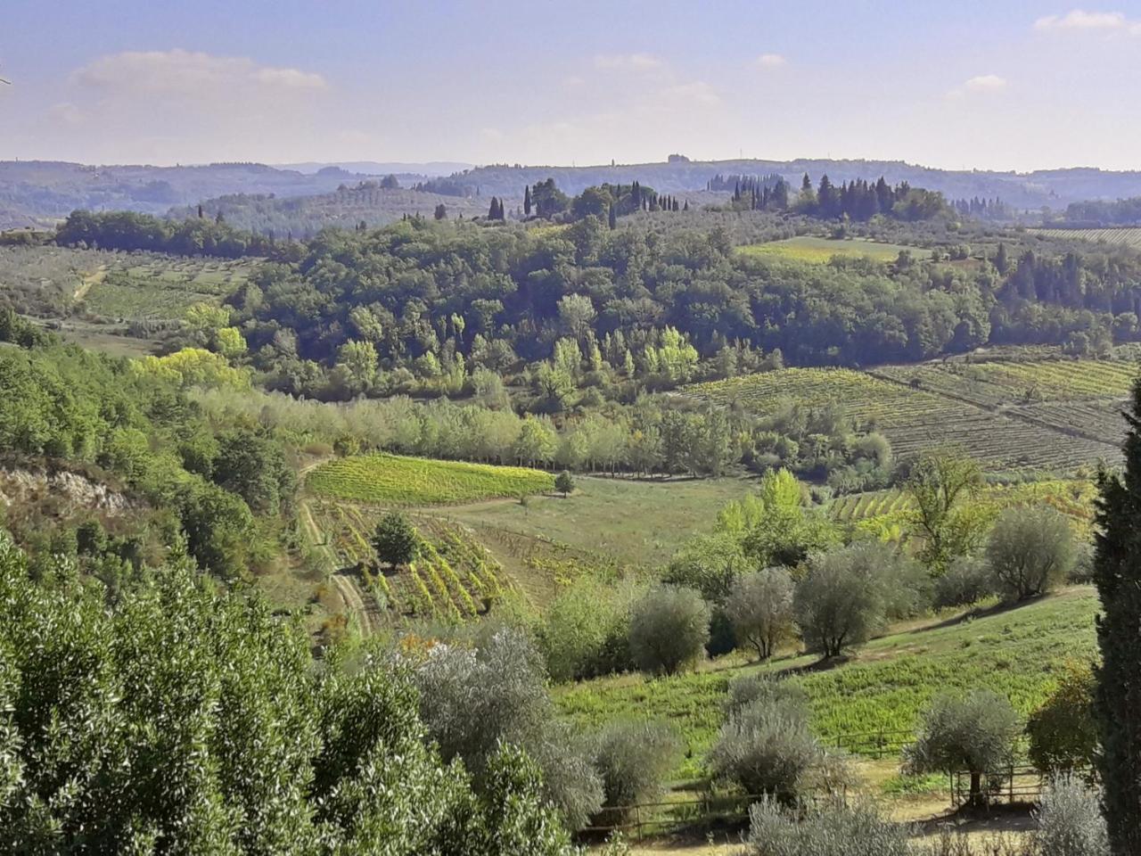 Agriturismo Villa Gorgognano Certaldo Buitenkant foto